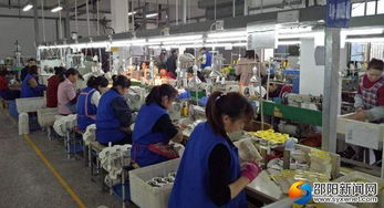 高質(zhì)量推動(dòng)快發(fā)展 邵陽(yáng)洞口經(jīng)濟(jì)開(kāi)發(fā)區(qū)實(shí)現(xiàn)高效推進(jìn)